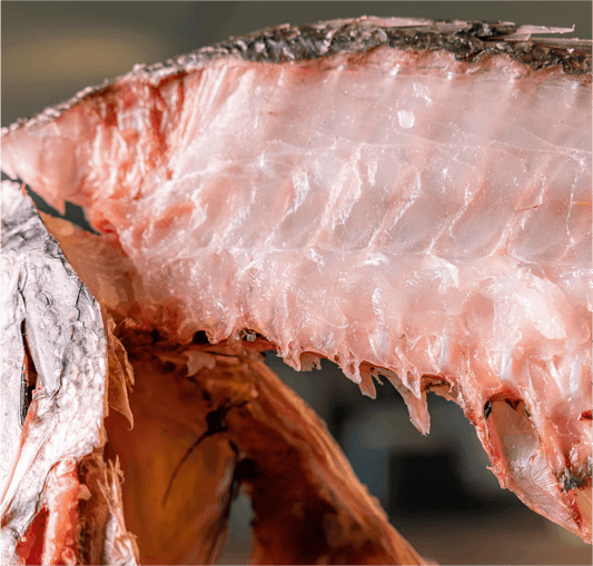 Poisson Dry-Aged, une expérience unique! - The Finest Cut