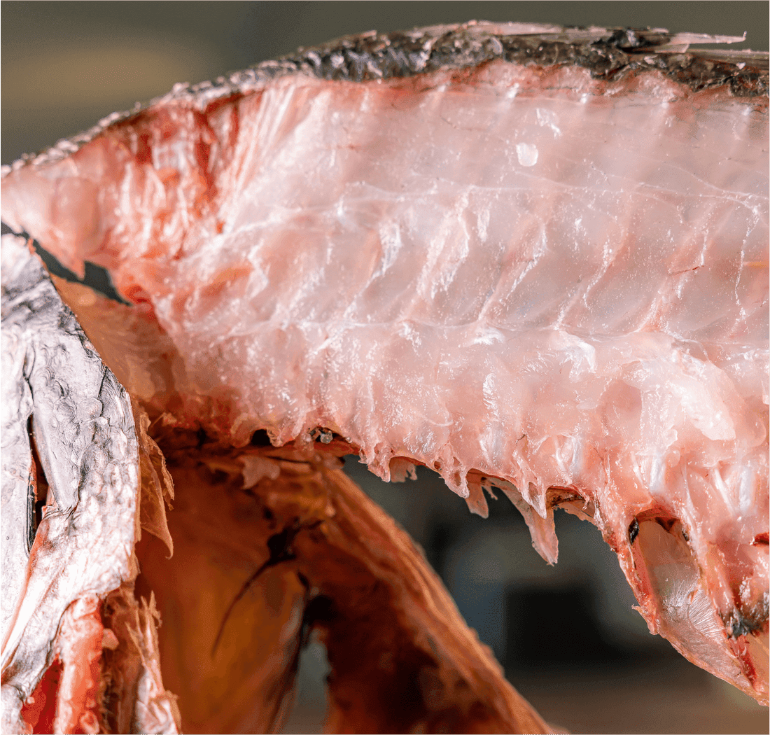 Poisson Dry-Aged, une expérience unique! - Le Comptoir by The Finest Cut